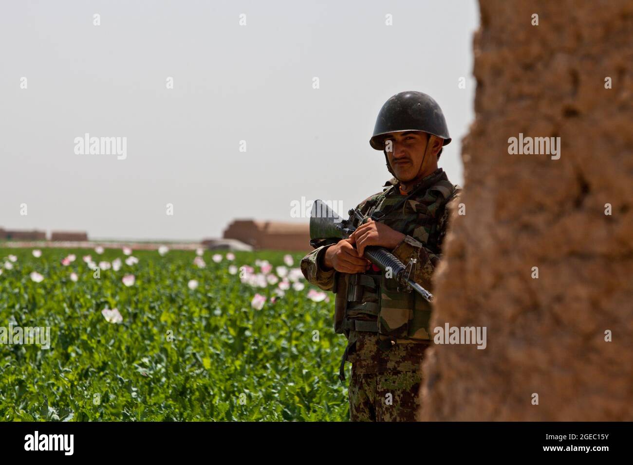 BASE DI PATTUGLIA FULOD, provincia di Helmand, Repubblica Islamica dell'Afghanistan - Seaman Orlando C. Farase, corpsman del Team Advisor 4 annesso alla Società C, 1° Battaglione, 5° reggimento marino, bende la mano di un bambino mentre è in pattuglia a Sangin, Afghanistan, maggio 11. I soldati dell'esercito nazionale afghano del 2° Tolay, il 2° Kandak, guidarono la pattuglia di presenza attraverso Sangin e furono accompagnati da consulenti marini per la squadra che era strettamente lì per osservare i soldati dell'ANA e offrire un feedback. Farase, 22 anni, è di Pensacola, Fla. Foto Stock