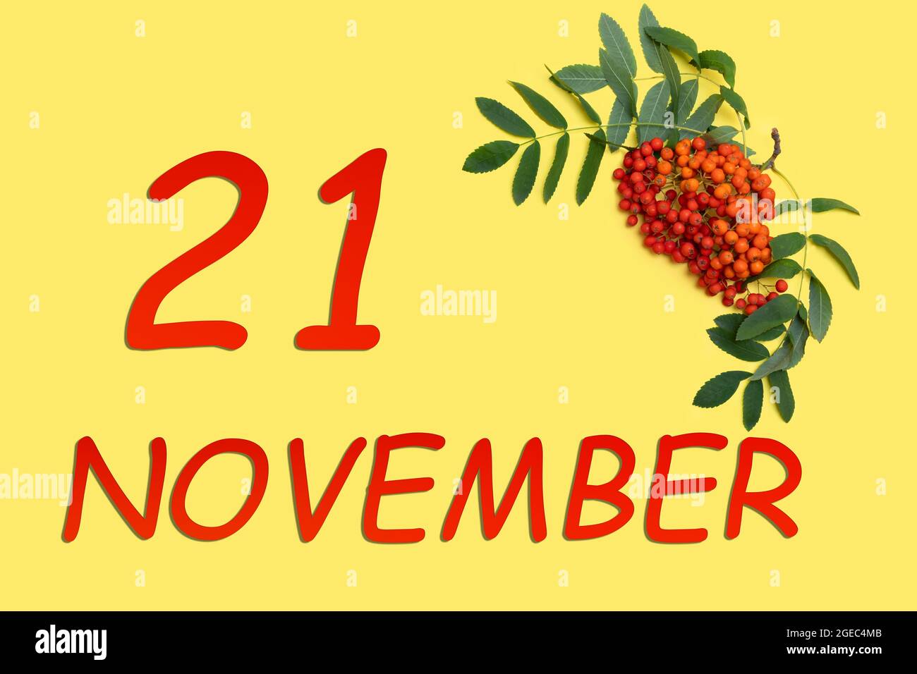 21 novembre. Ramo di Rowan con bacche rosse e arancioni e foglie verdi e data del 21 novembre su sfondo giallo. Mese di autunno, giorno di t Foto Stock