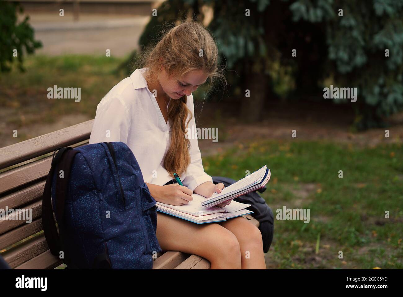 Una giovane studentessa universitaria seduta su una panchina scrive un abstract in un taccuino di un libro di testo. Ragazza scrive un abstract in un taccuino da un testo Foto Stock