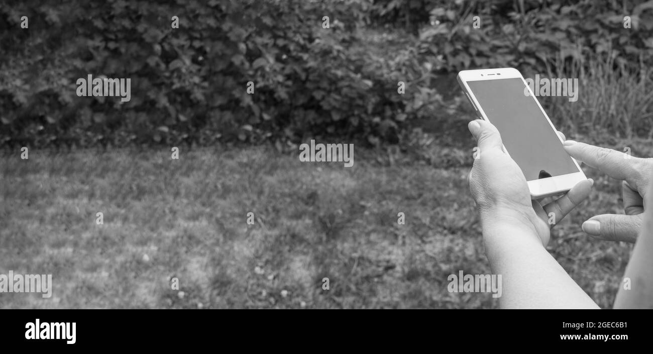 Primo piano della mano di una donna, utilizzando uno smartphone per inviare un messaggio in giardino, all'aperto, in bianco e nero, banner Foto Stock