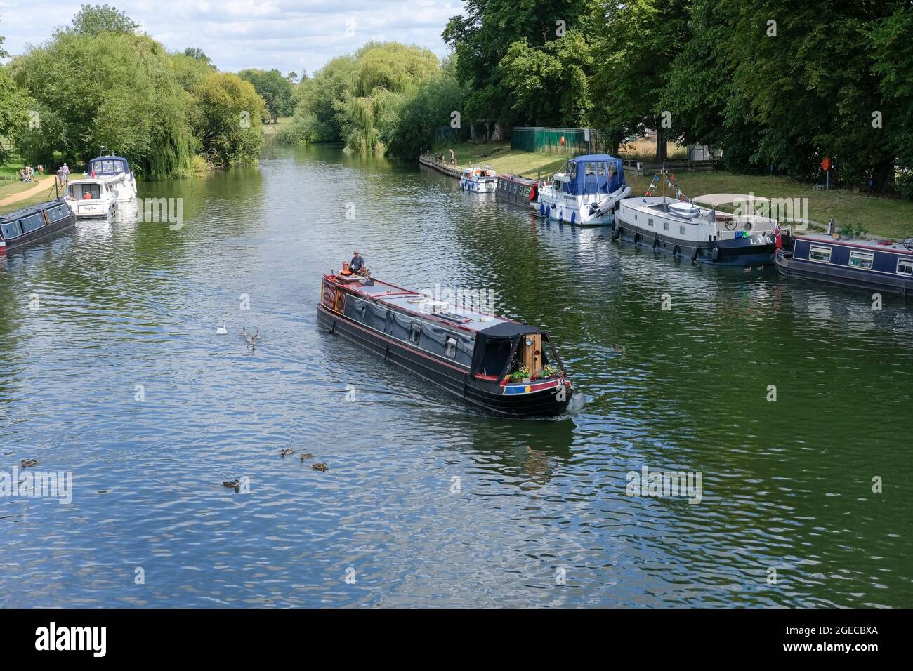 Un battello a barca stretta (Canal boat) si dirige verso il ponte di Wallingford sul fiume Tamigi a Wallingford, Regno Unito. Foto Stock