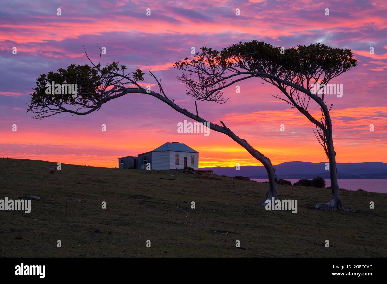 Ruby Hunt's Cottage al tramonto - Parco Nazionale di Maria Island - Tasmania - Australia Foto Stock