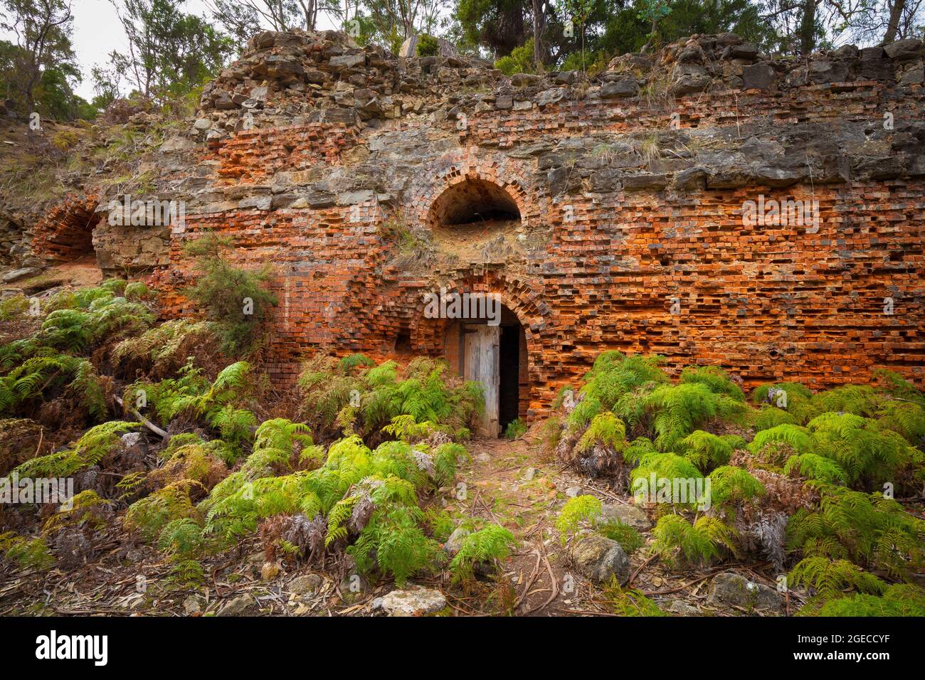 Rovine di mattoni e forni di calce (c.1888) - Parco Nazionale dell'Isola Maria - Tasmania - Australia Foto Stock