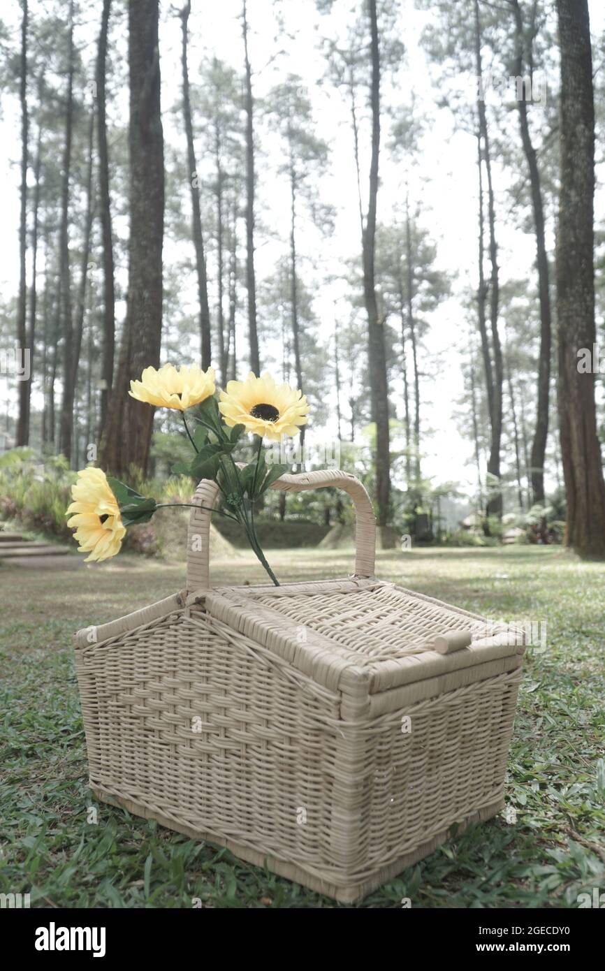 Un picnic Foto Stock