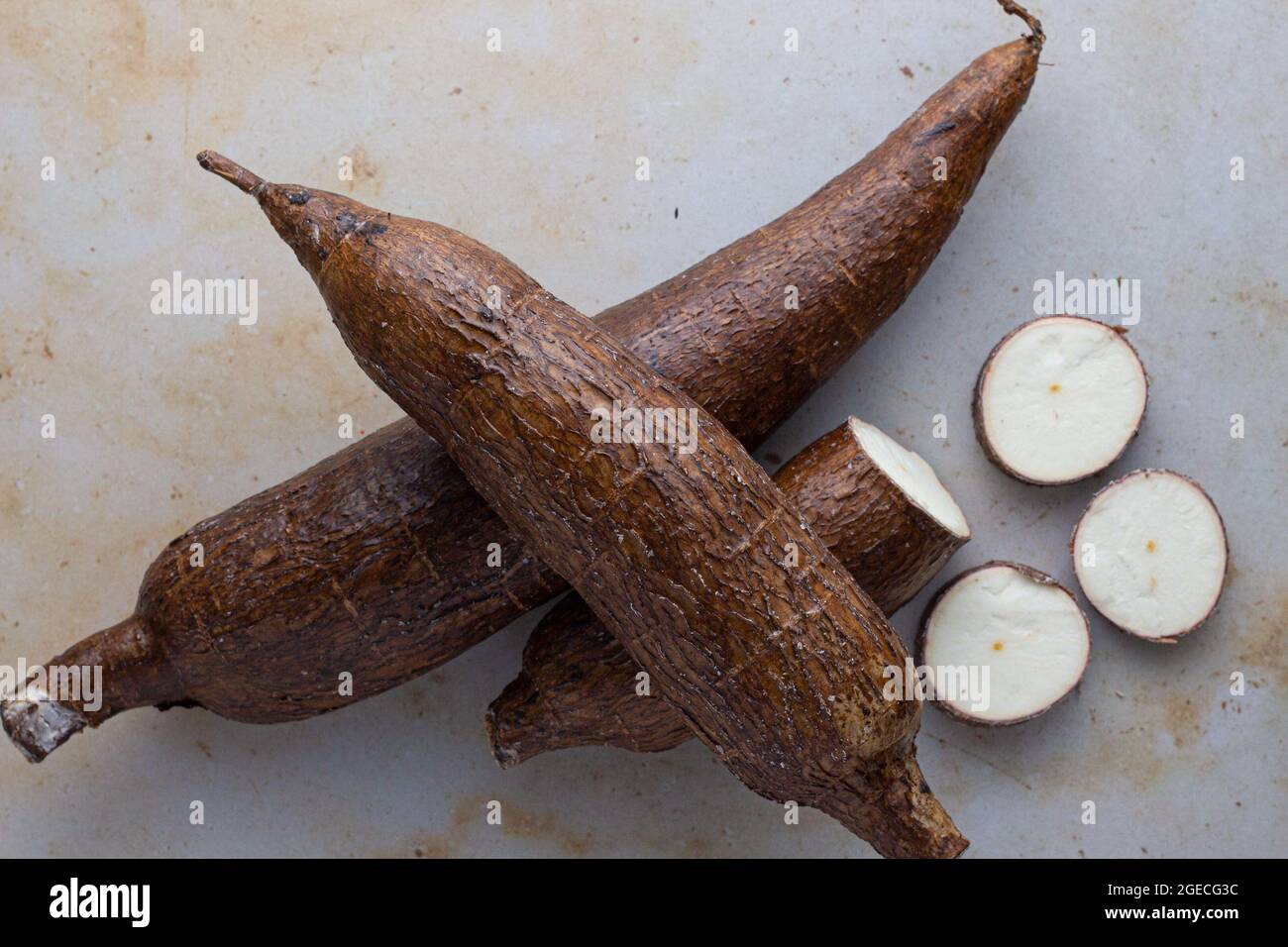 Foto di testa radici di manioca. Manioca/Manihot esculenta/Yuca Foto Stock