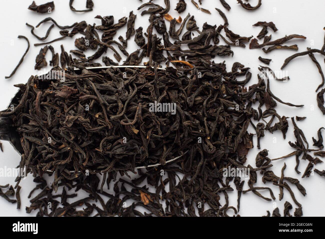 Foglie di tè Assam essiccato su sfondo bianco Foto Stock