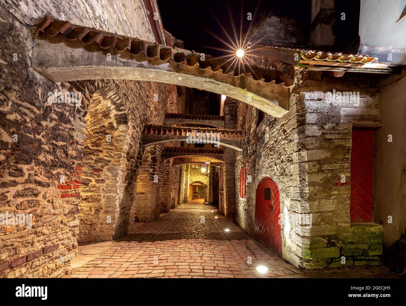 Vecchia strada di Santa Caterina nell'illuminazione notturna. Tallinn. Estonia Foto Stock