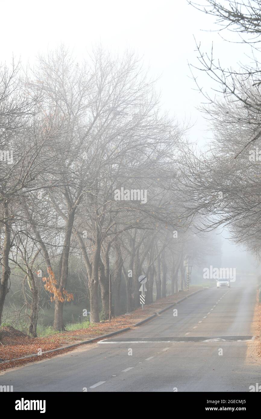 Traffico rurale su strada su un Misty, mattina foggy Foto Stock