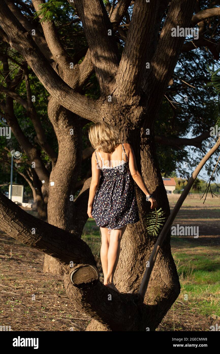 Giovane donna bionda sta proteggendo una donna albero Foto Stock