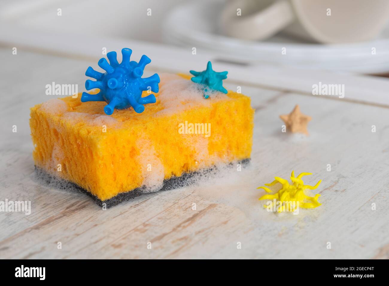 Virus e germi sulla spugna per lavastoviglie. Concetto cambiare la spugna più spesso Foto Stock