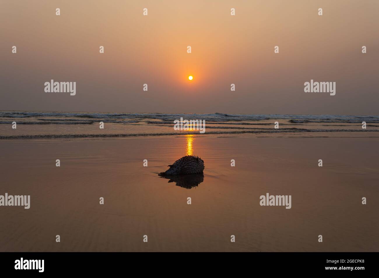 la splendida vista del tramonto dal mare, con le onde del mare. Foto Stock