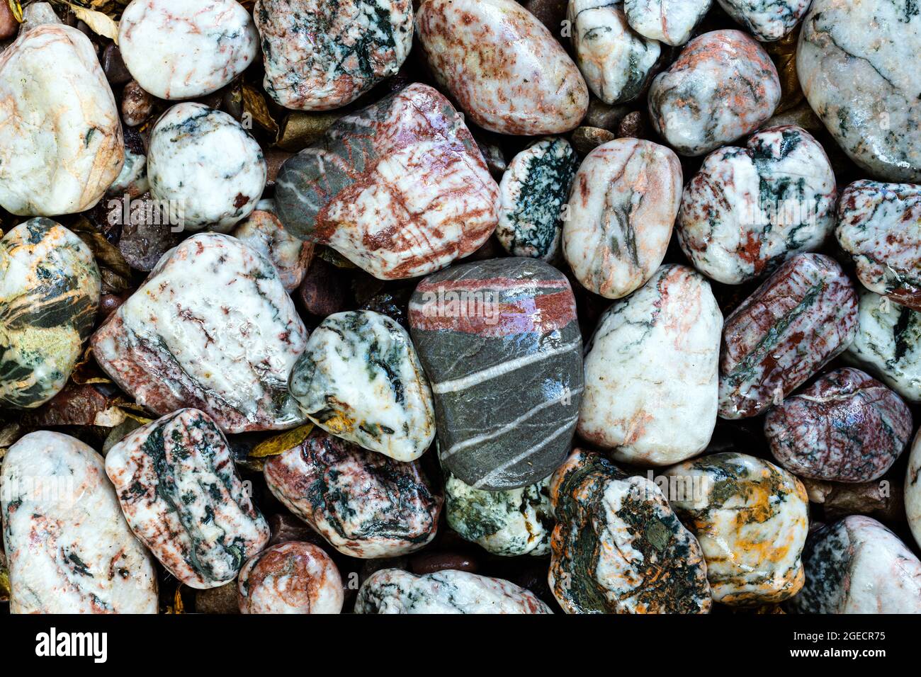 Cornish spiaggia rocce colorate Foto Stock