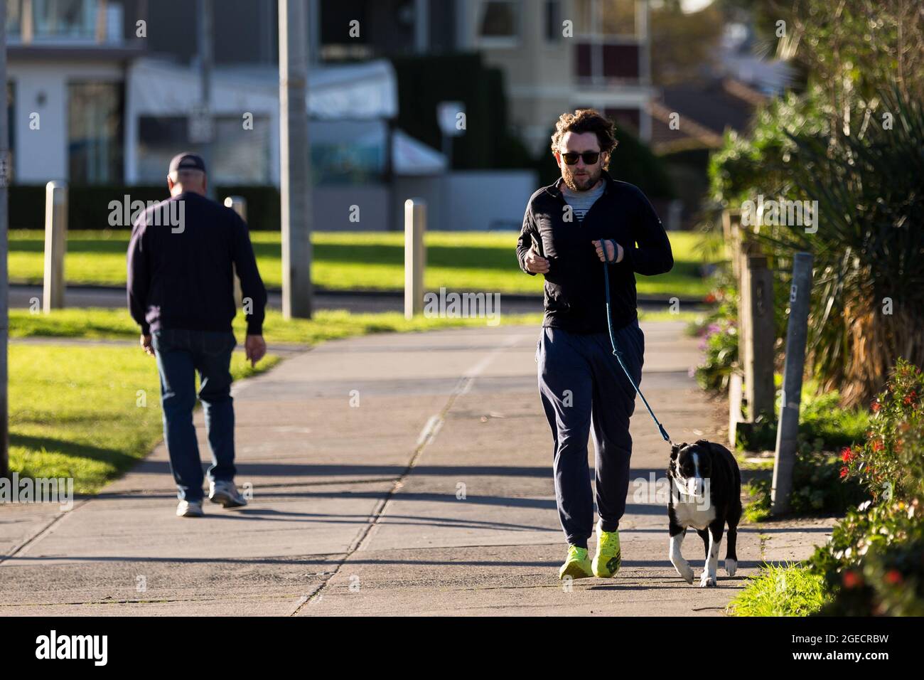 Melbourne, Australia, 16 agosto 2020. Un uomo che indossa una maschera scherza con il suo cane a Williamstown durante COVID-19 a Melbourne, Australia. Victoria ha registrato 16 decessi correlati a COVID e altri 279 nuovi casi durante la notte. Questo avviene nel contesto della speculazione secondo cui i blocchi saranno estesi e la regione Victoria potrebbe esaminare ulteriori restrizioni oltre la fase 3. Credit: Dave Hewison/Speed Media/Alamy Live News Foto Stock