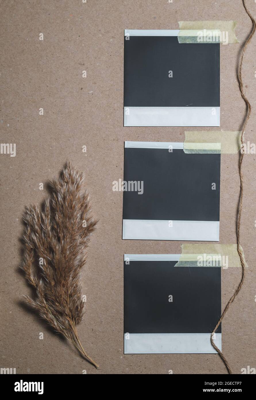 Cornici fotografiche con reed e corda su parete marrone. Elementi di design perfetti per album, ricordi e progetti artigianali Foto Stock