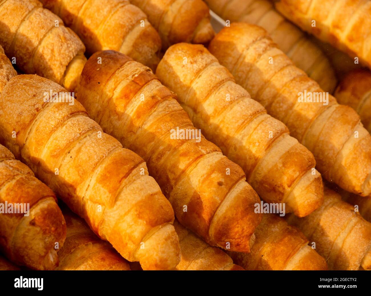 Cannoncini classici italiani ripieni di crema pasticcera Foto Stock