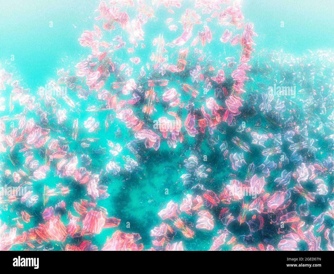 Illustrazione assistita da computer ideale per il design della copertina del libro, strato di sfondo nella creazione di opere d'arte composite Foto Stock