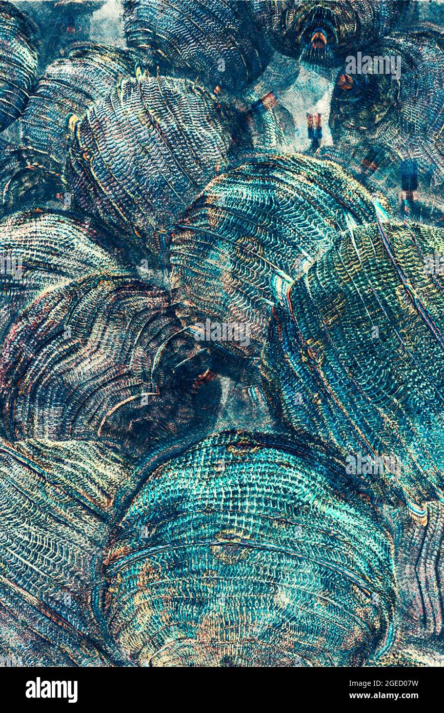 Illustrazione assistita da computer ideale per il design della copertina del libro, strato di sfondo nella creazione di opere d'arte composite Foto Stock