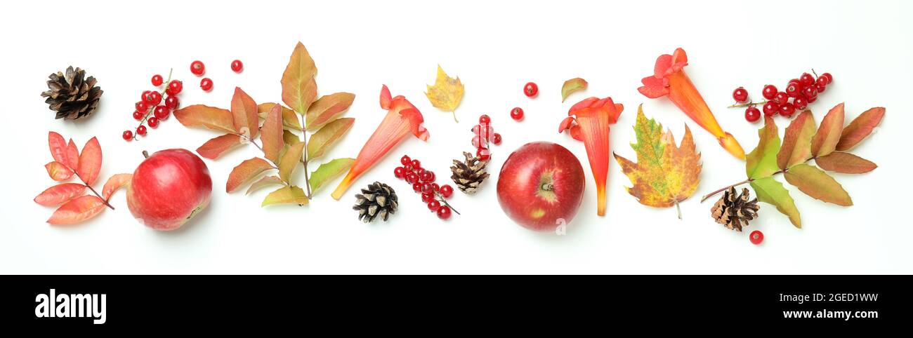 Giorno del Ringraziamento composizione su sfondo bianco, vista dall'alto Foto Stock