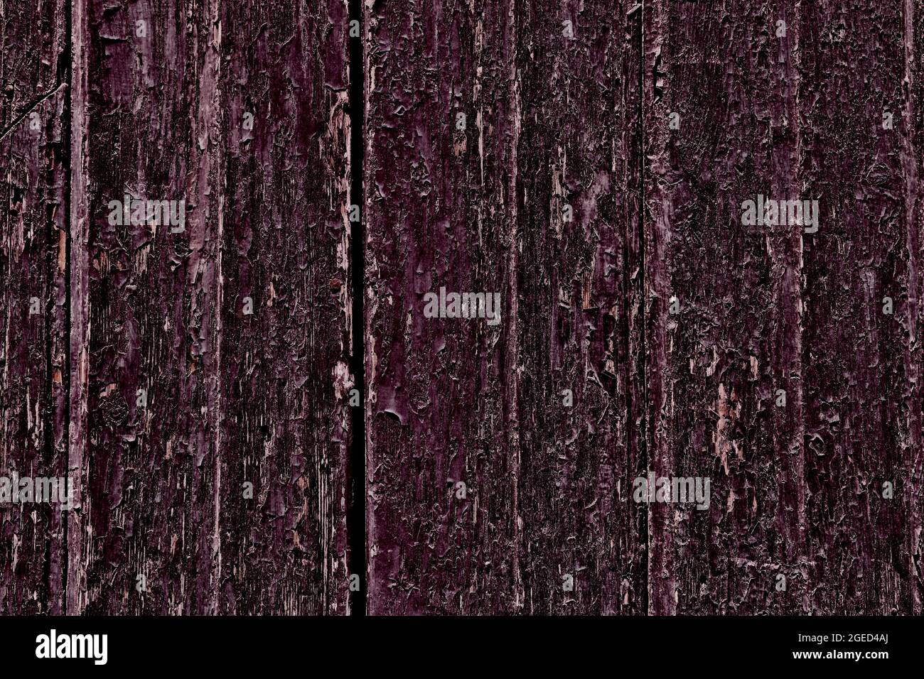 Tessuto di legno viola scuro stressato. Grunge stressato pannelli di legno per porte. Sfondo in legno antico. Foto Stock