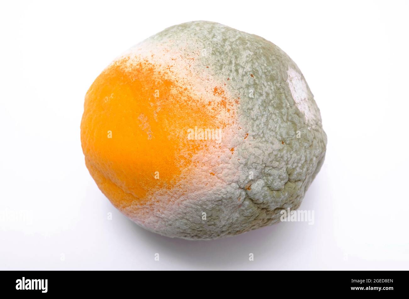 frutta arancione rovinosa su sfondo bianco Foto Stock