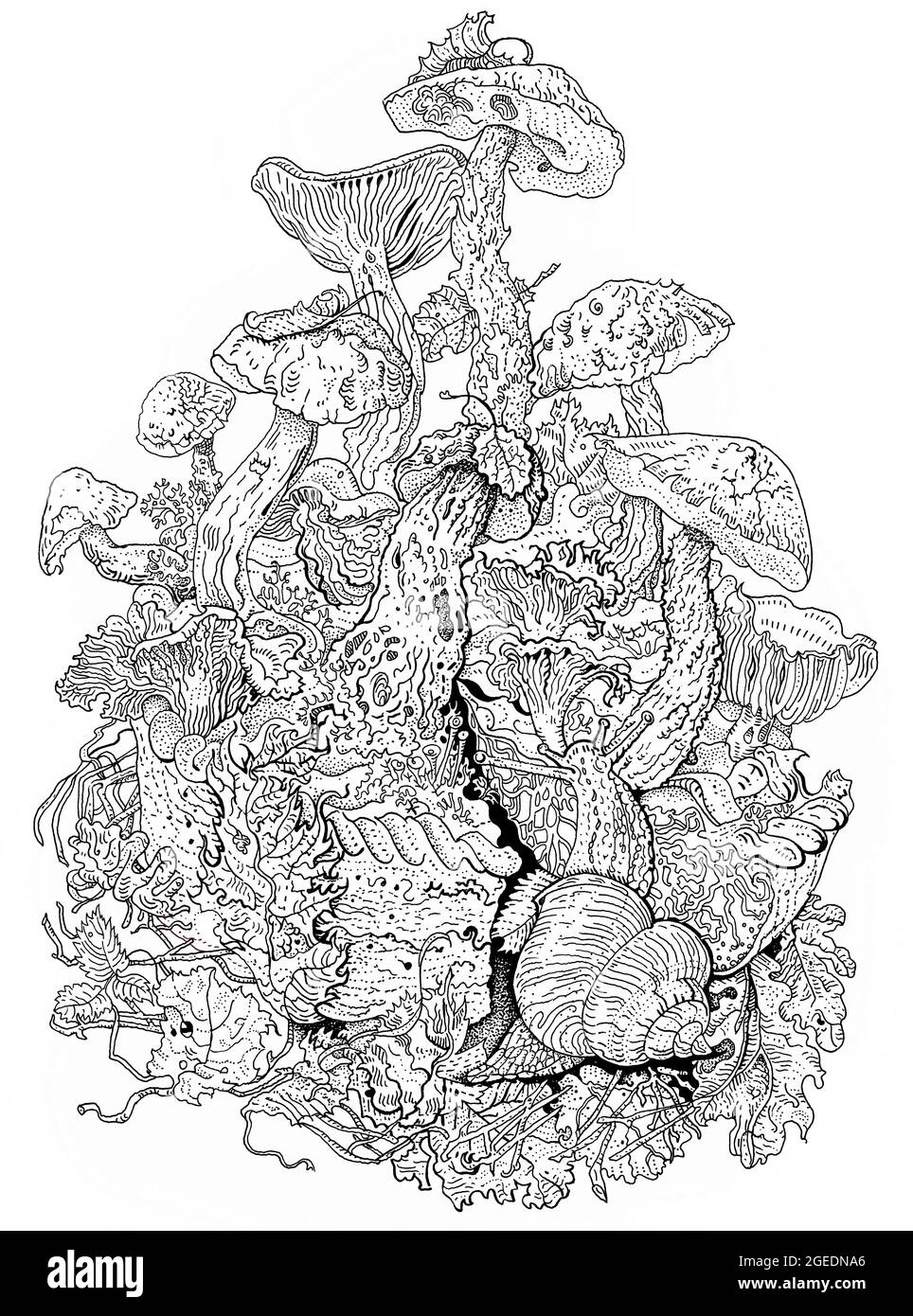 Lumaca e mosca agarico. Illustrazione dettagliata della penna dell'inchiostro disegnata a mano. Stampa T-shirt, tatuaggio in stile dotwork. Fungo velenoso Amanita Muscaria, autu Foto Stock