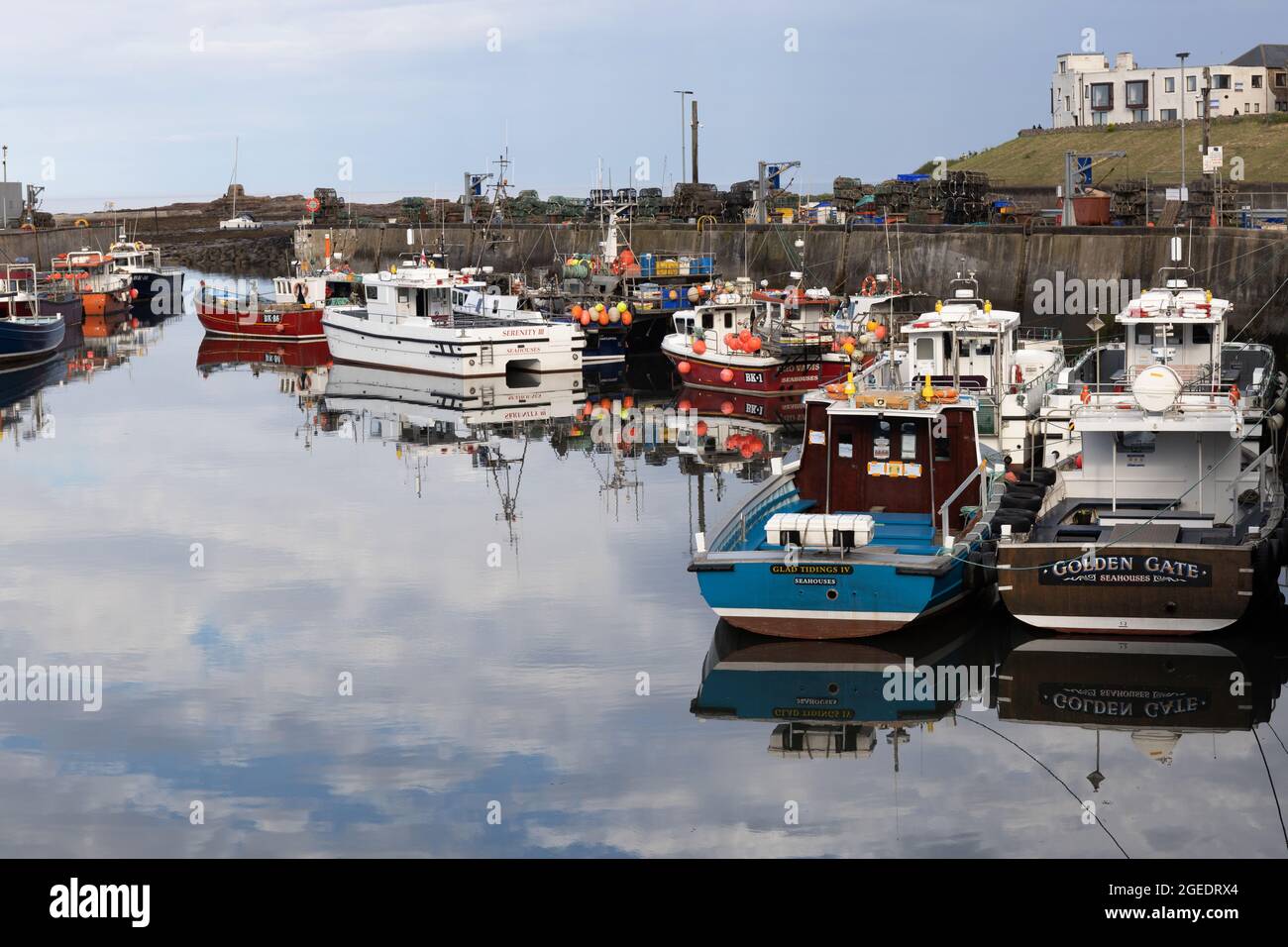 Seahouses Harbour, North Sunderland Harbour, Northumberland, Inghilterra Foto Stock
