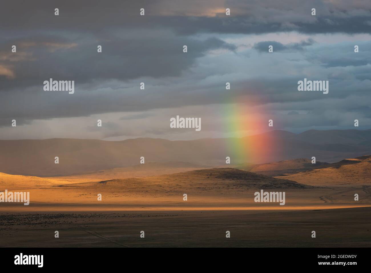 Incredibile arcobaleno luminoso e colorato sulle colline nella steppa tra le montagne, pioggia e raggi di sole sullo sfondo di un cielo tempestoso e c Foto Stock