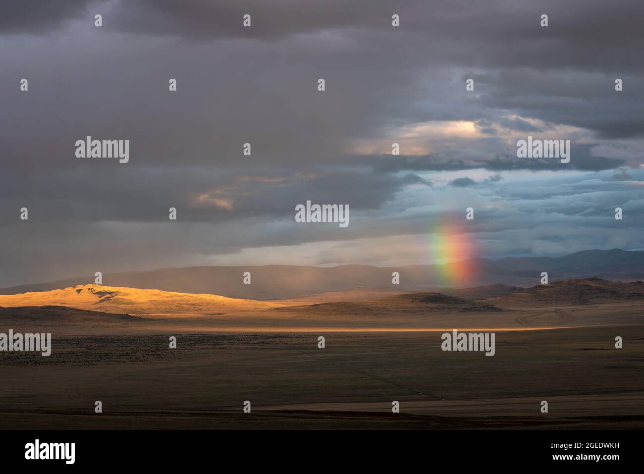 Incredibile arcobaleno luminoso e colorato sulle colline nella steppa tra le montagne, pioggia e raggi di sole sullo sfondo di un cielo tempestoso e c Foto Stock