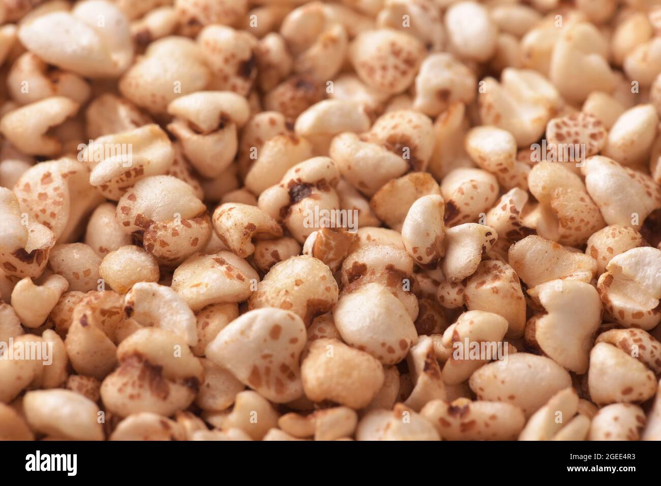 Primo piano di fondo di grano saraceno gonfato Foto Stock
