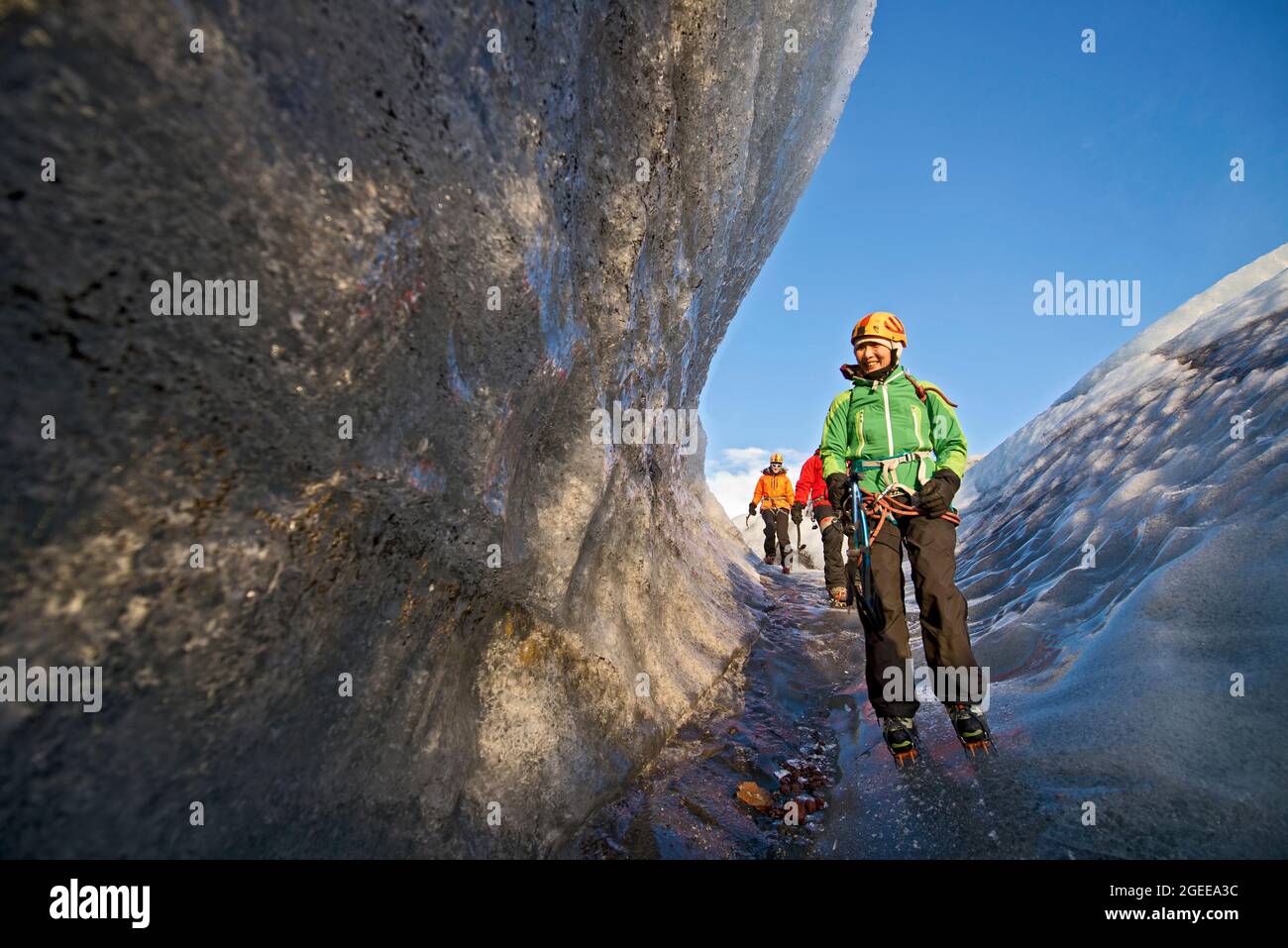 Gruppo di scalatori sul ghiacciaio Svinafellsjokull al Parco Nazionale di Vatnajokull Foto Stock