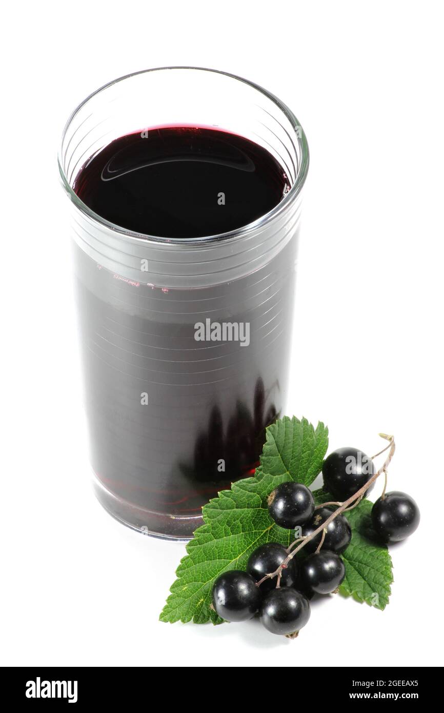 succo di ribes nero isolato su sfondo bianco Foto Stock