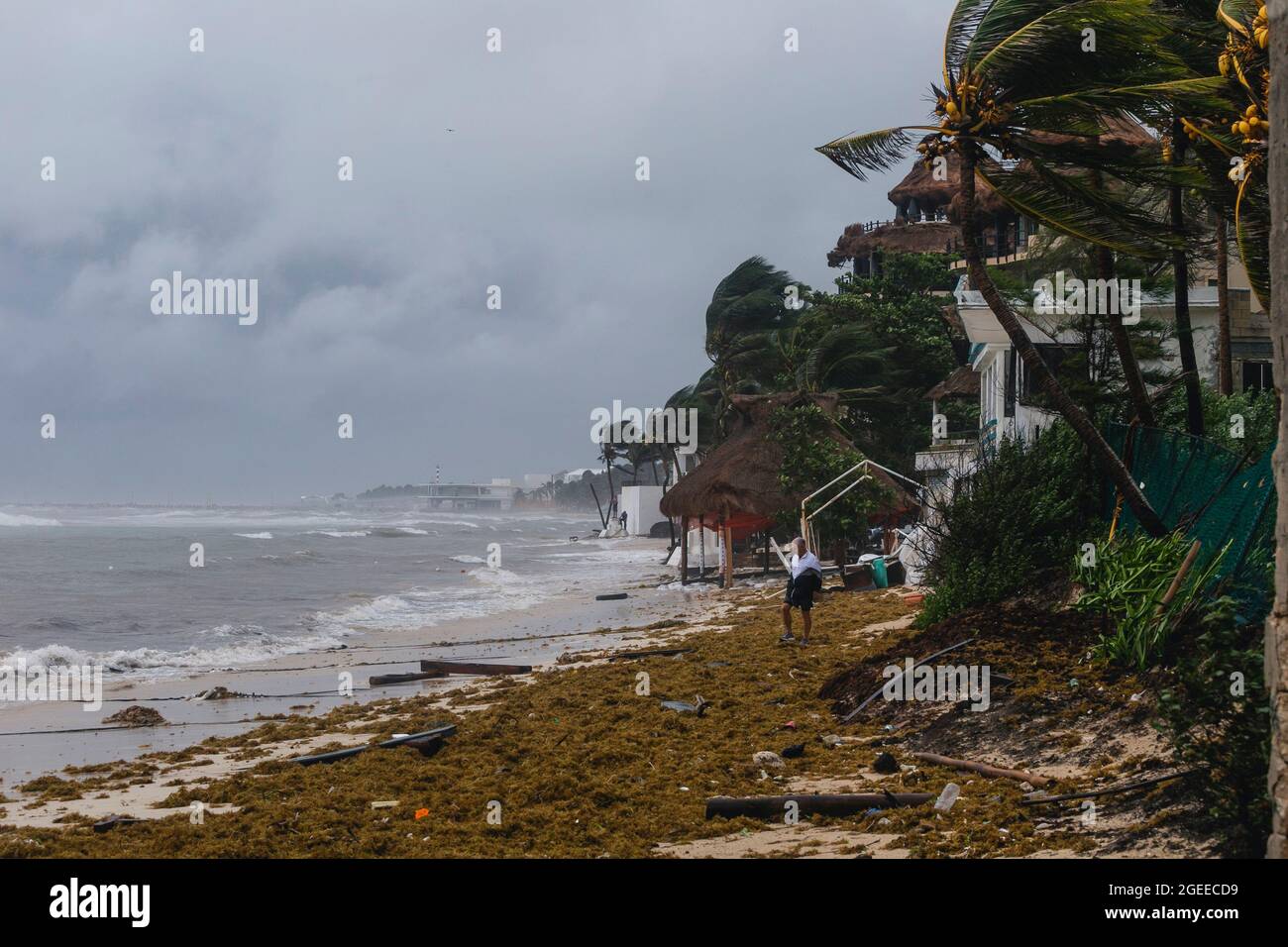 Playa del Carmen, Messico, 19 agosto 2021: Forti raffiche di vento fanno muovere le palme mentre l'uragano di categoria 1 'Grace' ha colpito Playa del Carmen nei Caraibi messicani. Credit: Natalia Pescador/Eyepix Group/Alamy Live News Credit: Eyepix Group/Alamy Live News Foto Stock