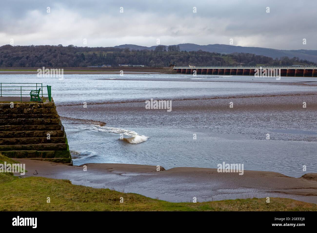 Il bore di Arnside, un'onda stupefacente che viaggia a monte nell'estuario del Kent in Cumbria sulle maree primaverili più alte, vicino al molo di Arnside Foto Stock