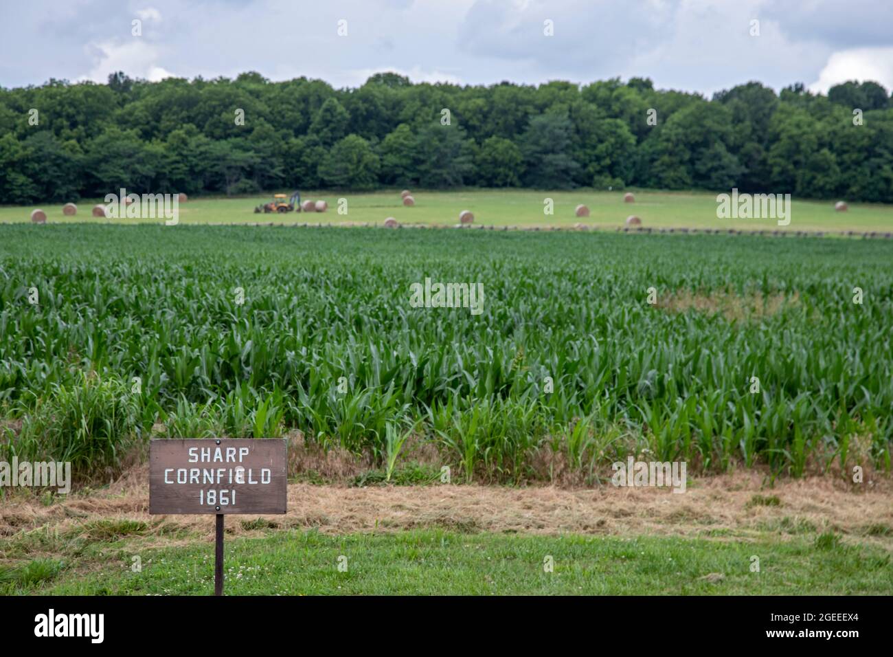 Republic, Missouri - Wilson's Creek National Battlefield, luogo di una battaglia del 1861 nella Guerra civile americana. Foto Stock