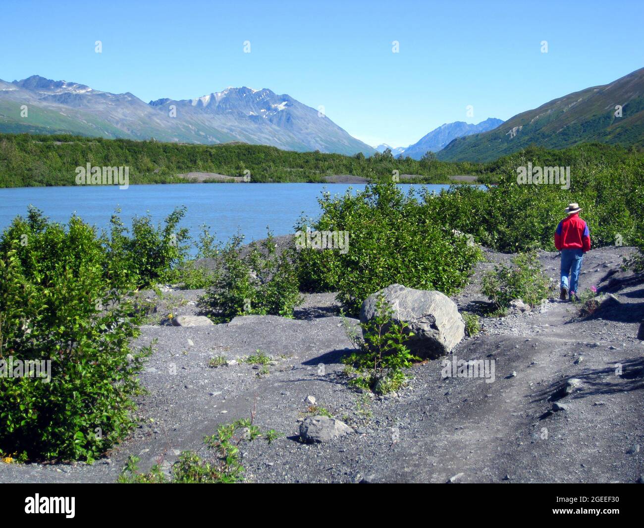 L'uomo fa un'escursione intorno al lago del ghiacciaio formato dalla fusione del ghiaccio dal ghiacciaio di Worthington in Alaska. Ha su una giacca rossa e un cappello tan. Foto Stock