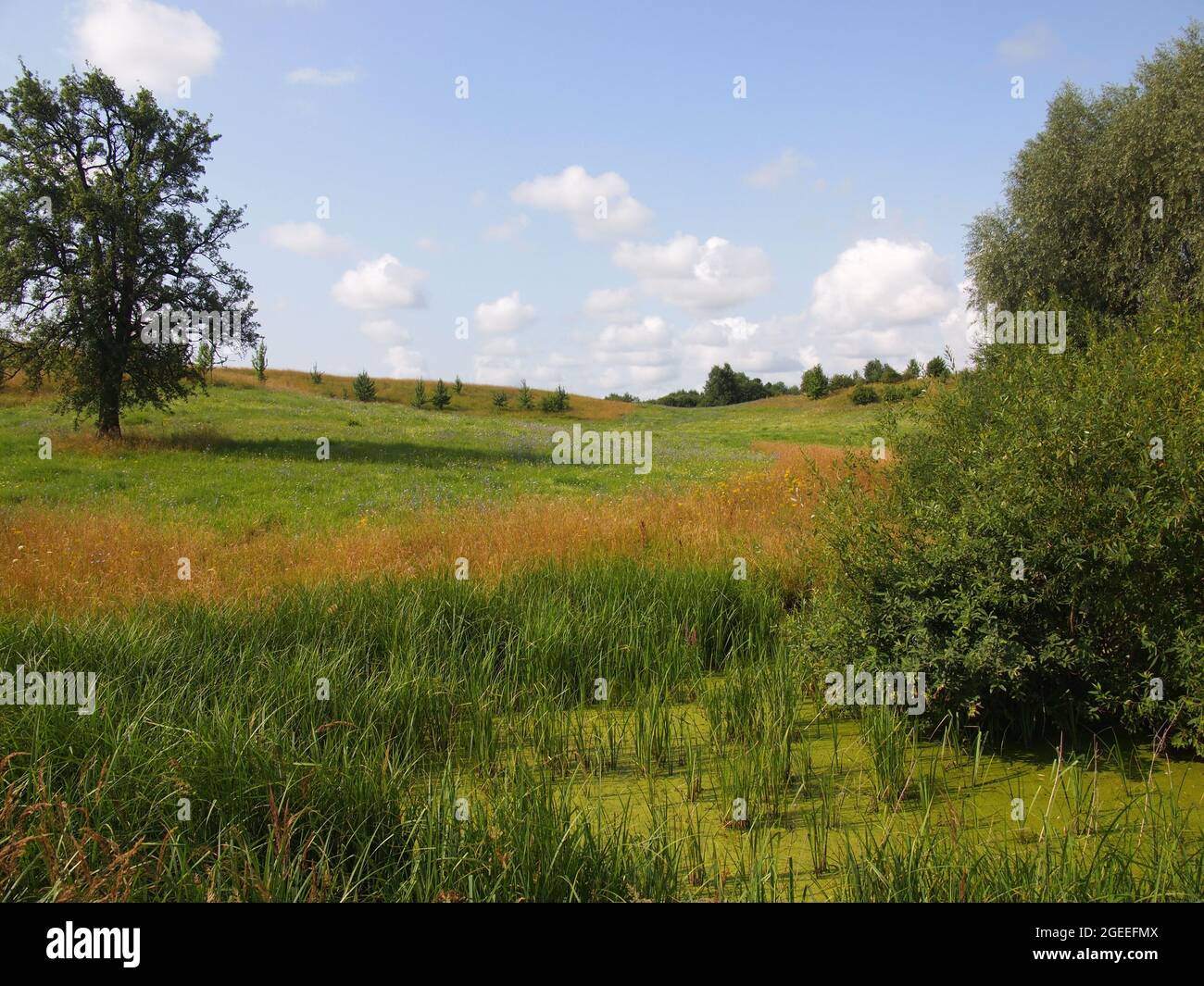Parco Regionale Meteliai (Contea di Alytus, Lituania) Foto Stock