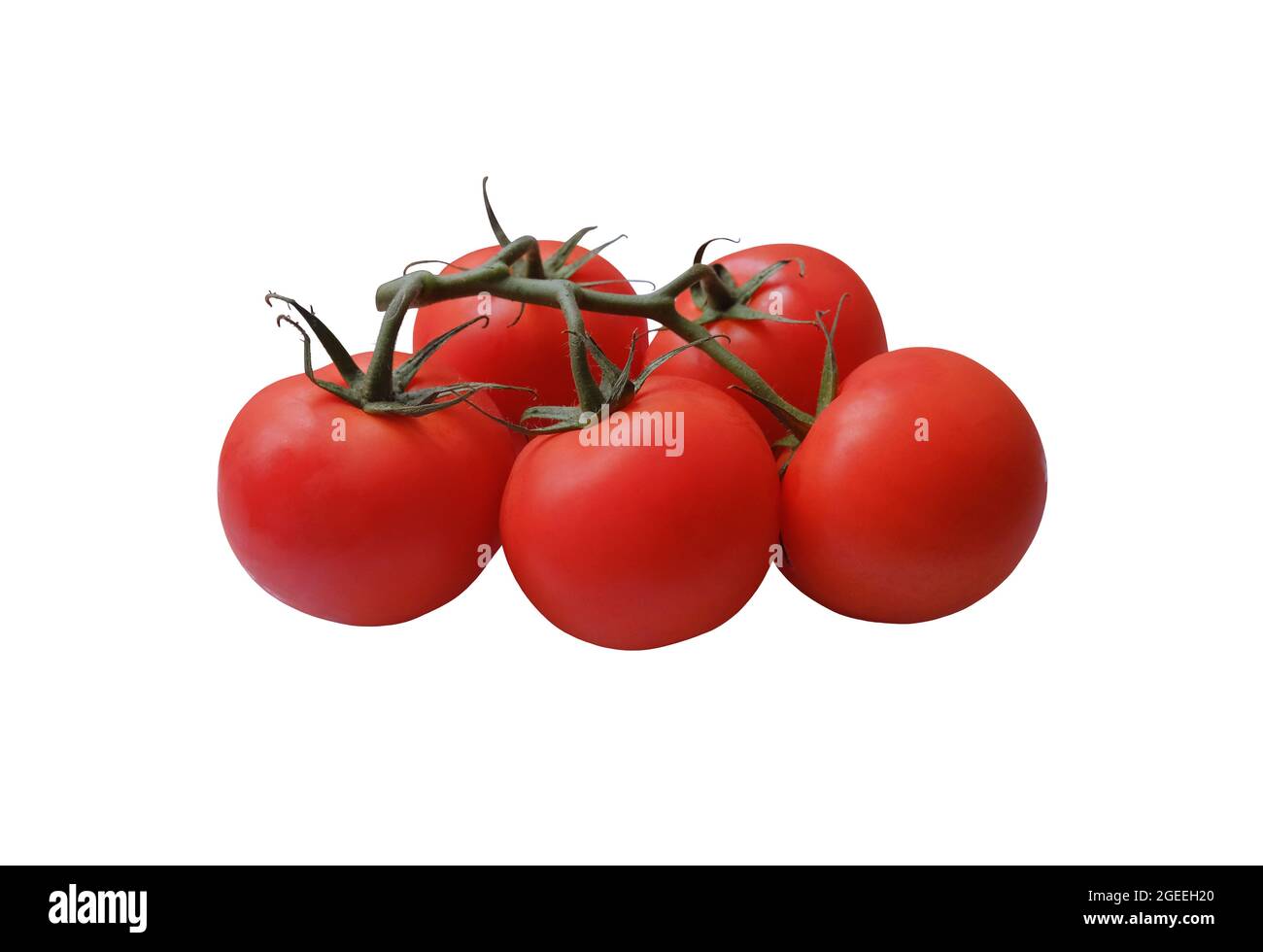 Pomodori rossi maturi ramo con gambo verde e foglie, ritaglio oggetto percorso di taglio, vegetale biologico sano dieta concetto Foto Stock