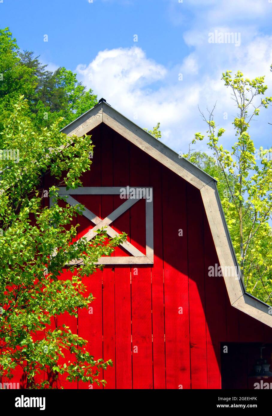 Il fienile in legno, dipinto di rosso con finiture bianche, è pulito e ben tenuto. Cielo blu e alberi verdi cornice angolo di fienile. Foto Stock