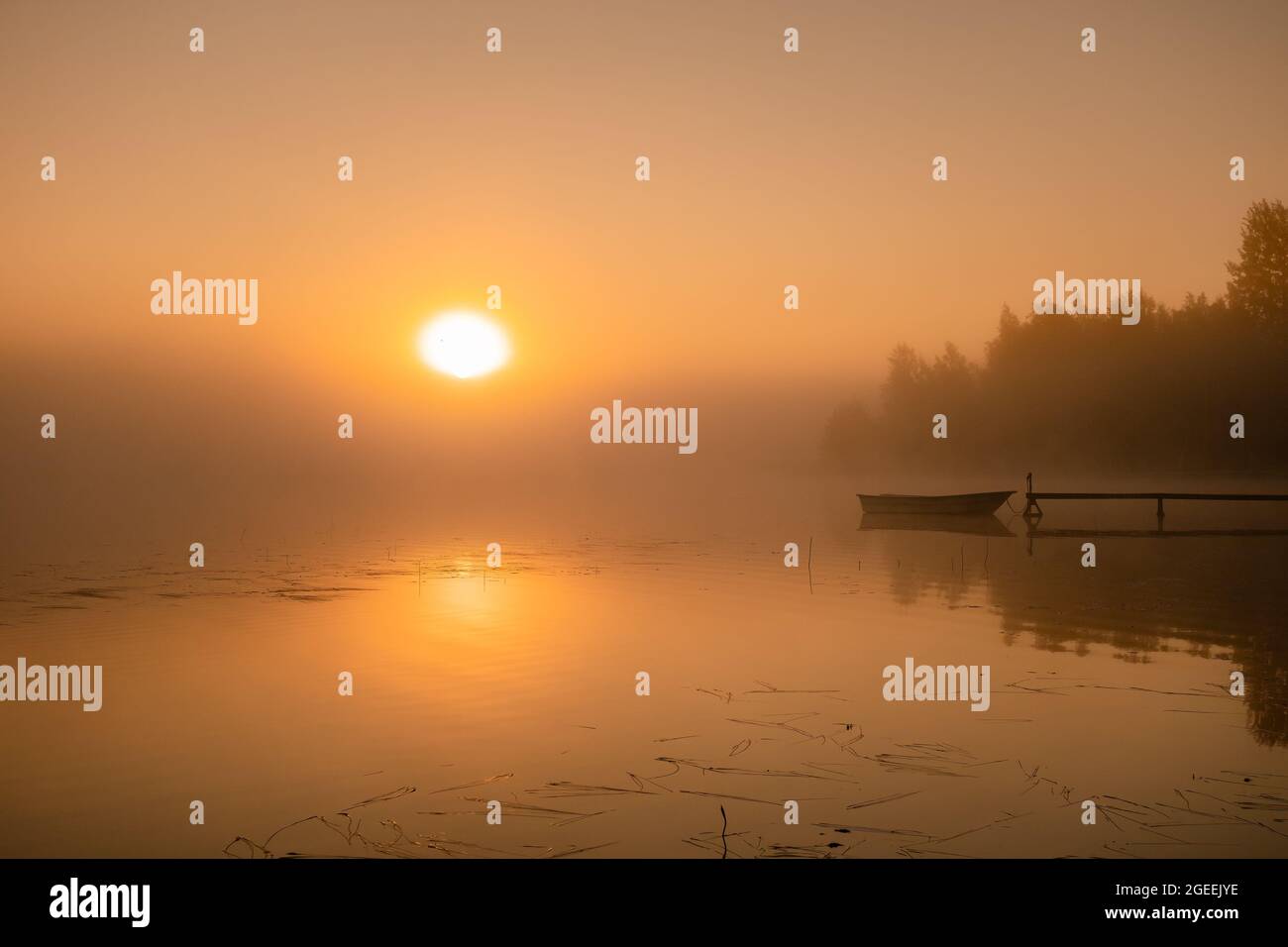 Scenico nebbie Alba sul lago con grande arancio sole, riflessione. Spazio di copia Foto Stock