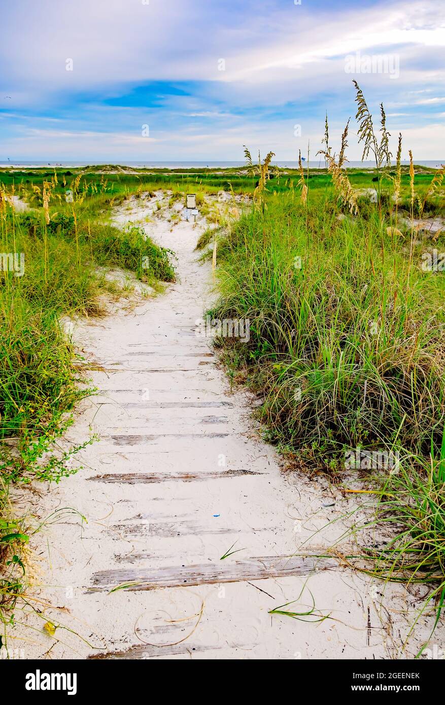 I gradini conducono ad un sentiero a piedi sulla Penisola Pelicana, 12 agosto 2021, nell'Isola di Dauphin, Alabama. Foto Stock
