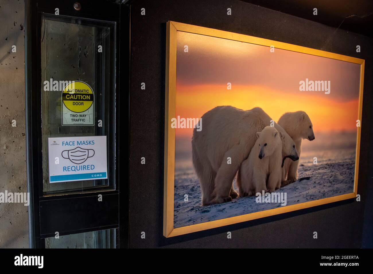 St. Paul, Minnesota. Parco zoo di Como. Maschera facciale necessaria per entrare nella mostra di orsi polari dello zoo. Foto Stock