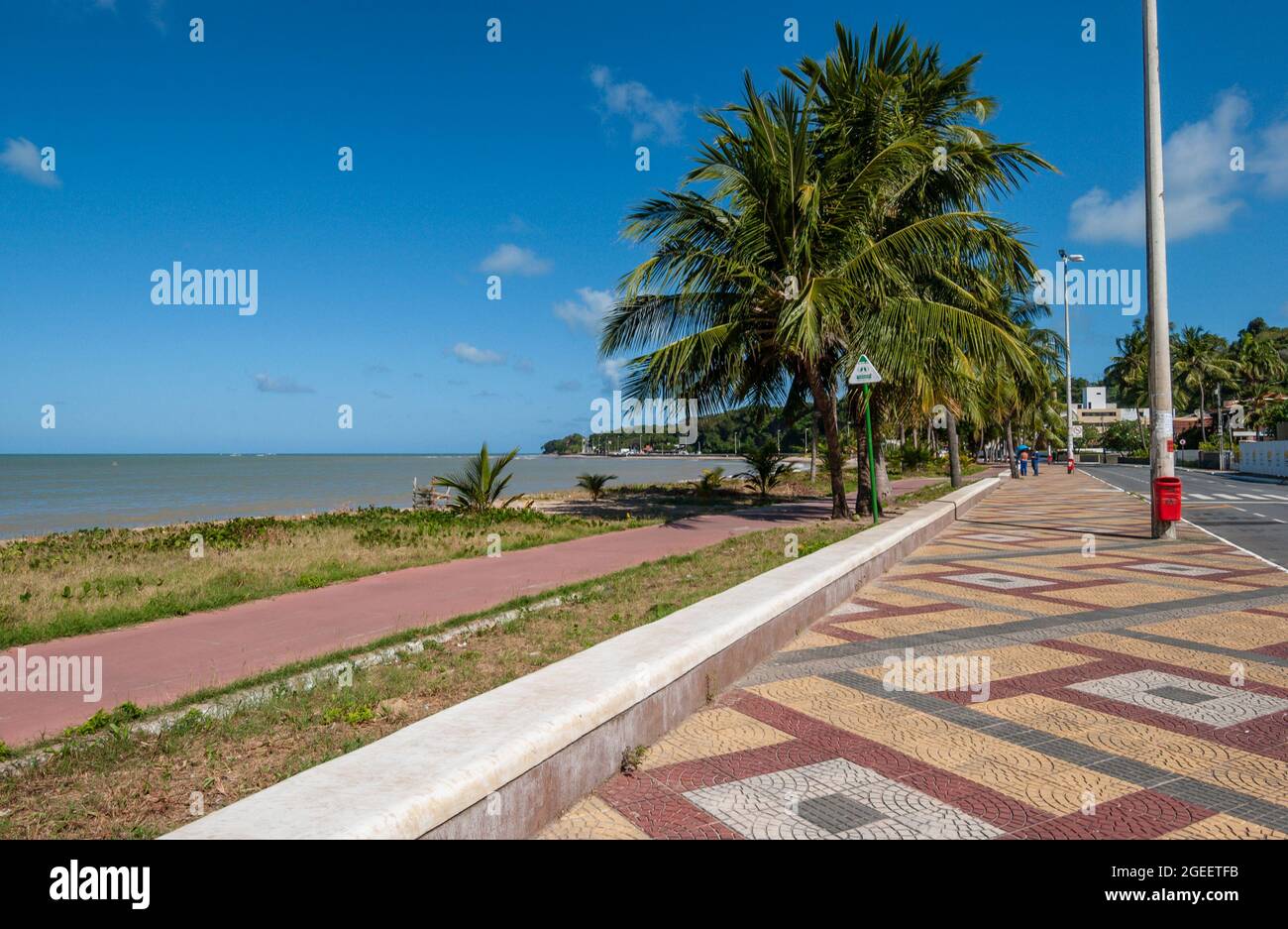 Joao Pessoa, Paraiba, Brasile, il 5 novembre 2004. Boschetto di cocco sulla spiaggia di Cabo Branco. Foto Stock