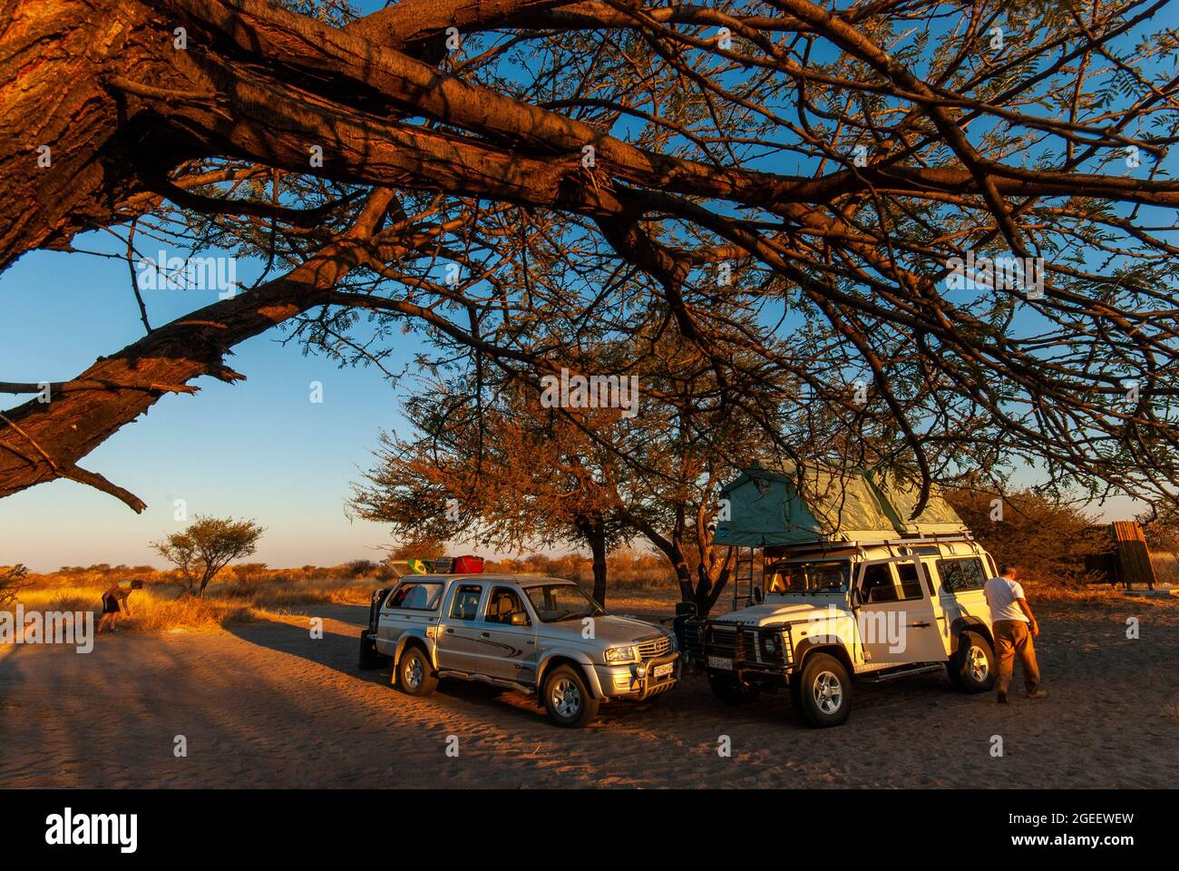 Campeggio nella riserva naturale centrale di Kalahari, Botswana Foto Stock
