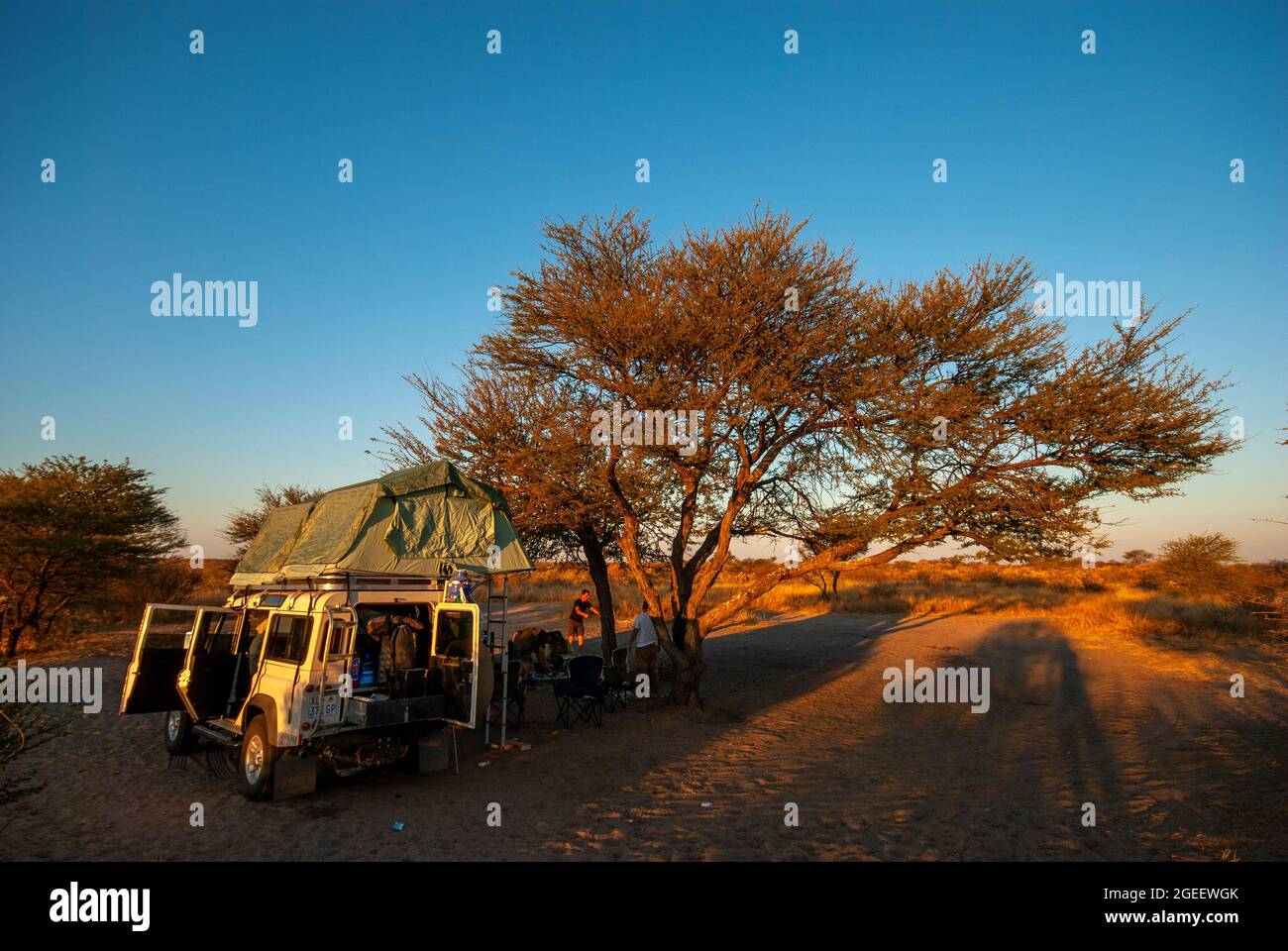 Campeggio nella riserva naturale centrale di Kalahari, Botswana Foto Stock