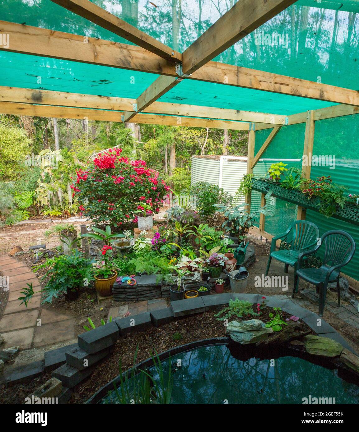 Giardino paesaggistico in fernery con acqua caratteristica / stagno con muro di mattoni e letti giardino rialzati in costruzione, in Australia Foto Stock