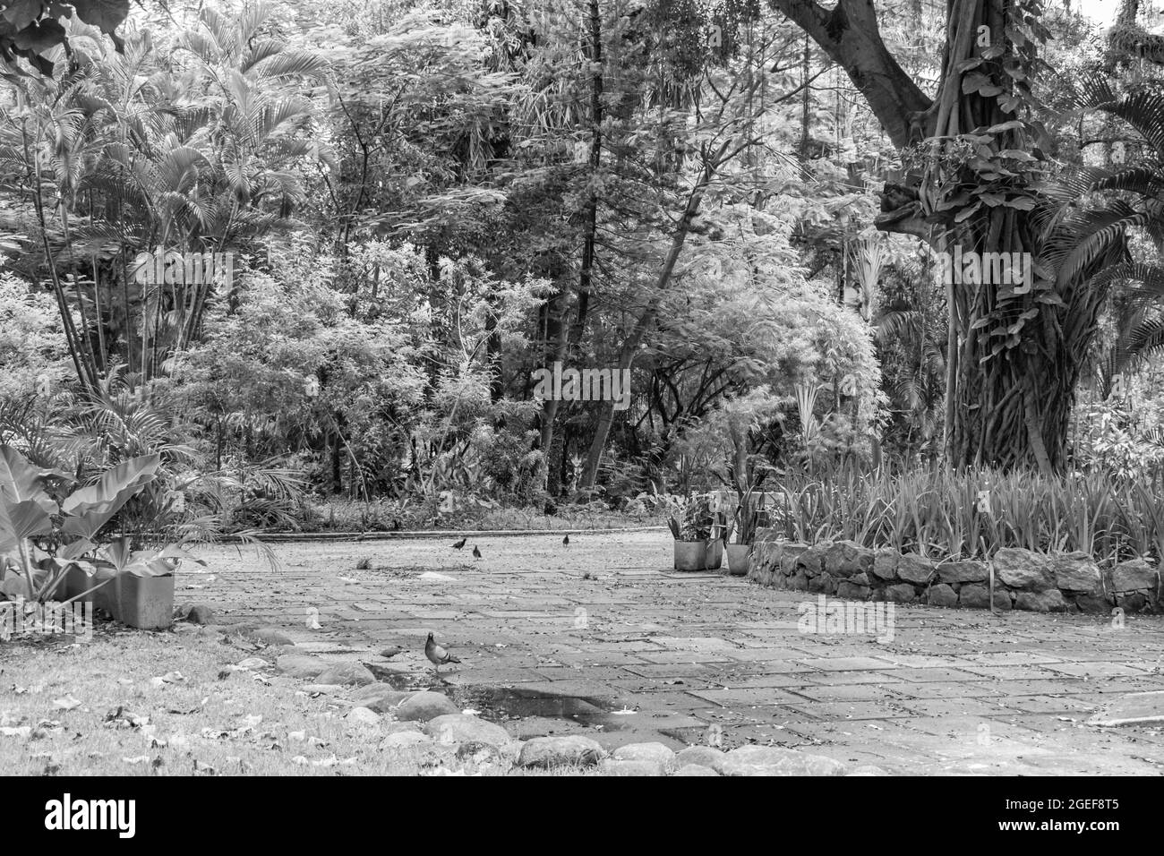 Nitreói, Rio de Janeiro, Brasile - CIRCA 2021: Marciapiede con poco movimento di persone di fronte al blocco decretato durante la pandemia COVID-19 Foto Stock