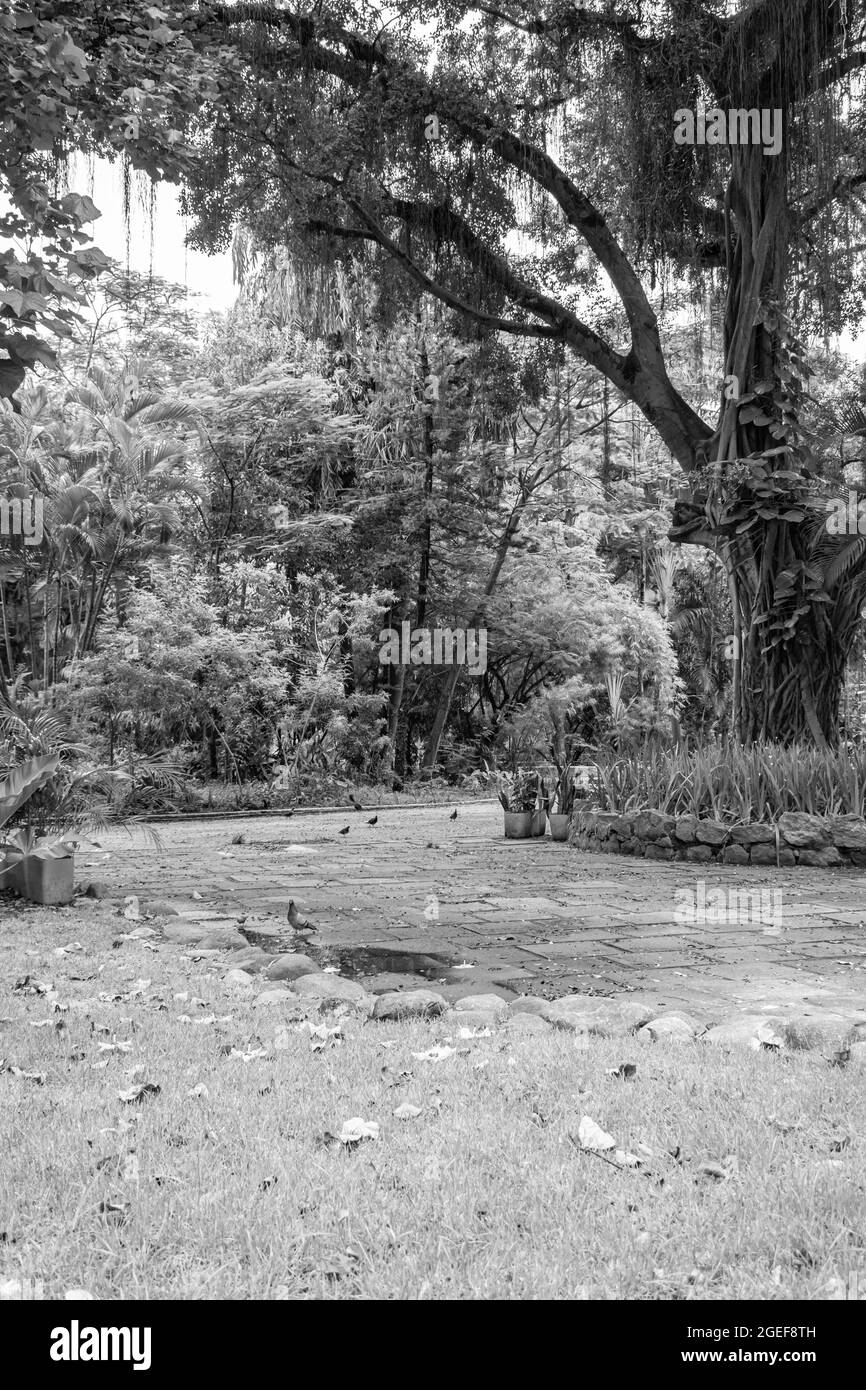 Nitreói, Rio de Janeiro, Brasile - CIRCA 2021: Marciapiede con poco movimento di persone di fronte al blocco decretato durante la pandemia COVID-19 Foto Stock