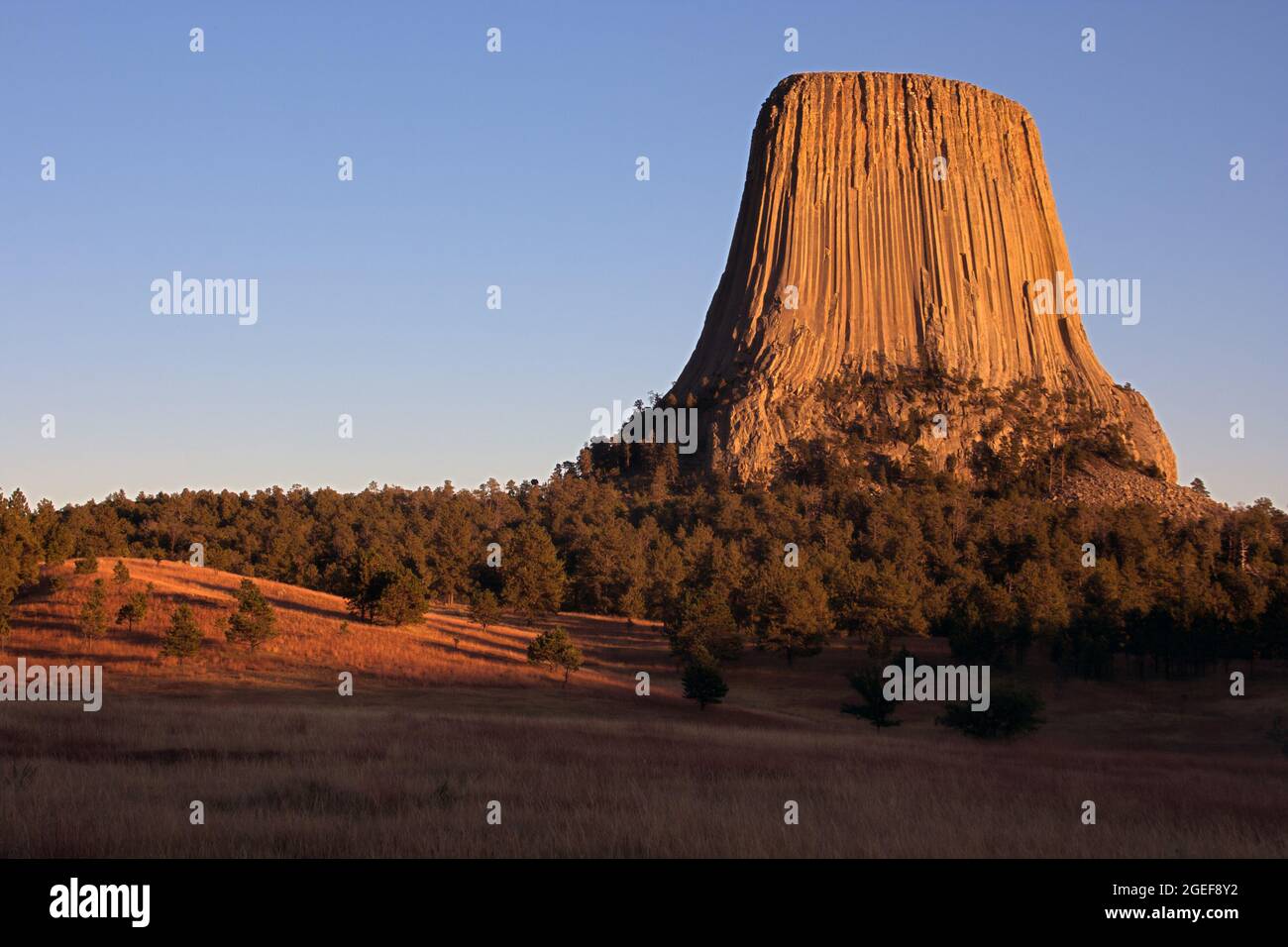 Splendido paesaggio del Devils Tower National Monument, USA Foto Stock