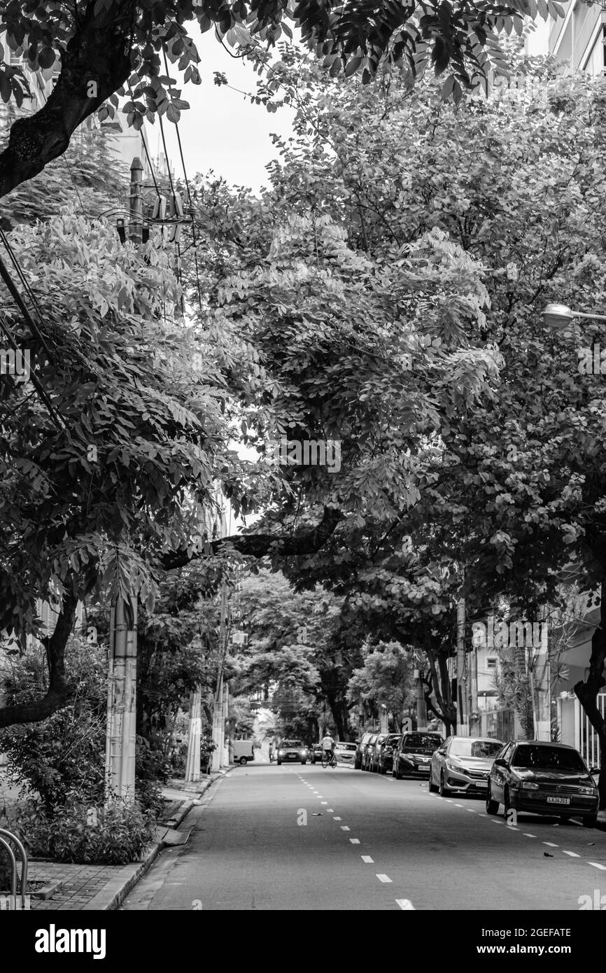 Strade senza movimento di veicoli, e vuote, di fronte al blocco decretato durante la pandemia COVID-19 Foto Stock