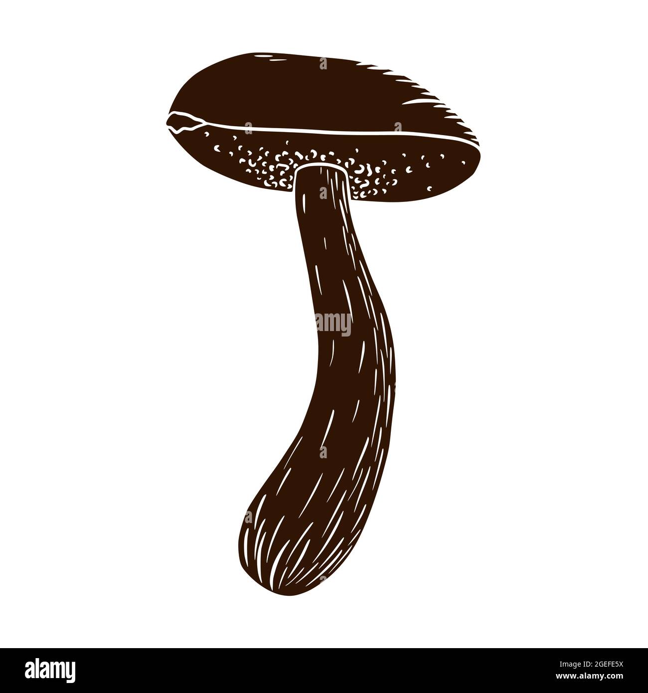 Silhouette di boleto. Icona a fungo commestibile disegnata a mano per logo, emblema, stampe, adesivi, design del menu e decorazione Illustrazione Vettoriale